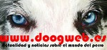 Actualidad y Noticias del Mundo del Perro