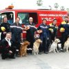 XVII Curso Método Arcon de Rescate Canino en Catastrofes