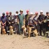 V Curso Método Arcon de Rescate Canino en Catastrofes
