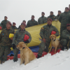 XXXII Curso de Búsqueda y Detección Canina Método ARCÓN ( Personas Sepultadas ). Fuerzas Especiales del Ejército Ecuatoriano. Ecuador