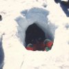 Sepultamiento total de una persona bajo masa de nieve
