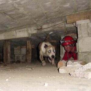 Jaime Parejo interviniendo en confinamiento