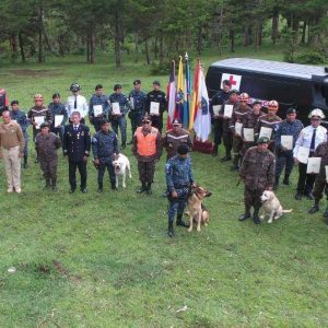 LI Curso Método Arcón