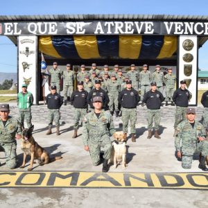 LV Curso Método Arcón